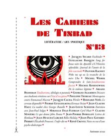 Les Cahiers de Tinbad 13