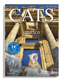 Cats Of Ephesos